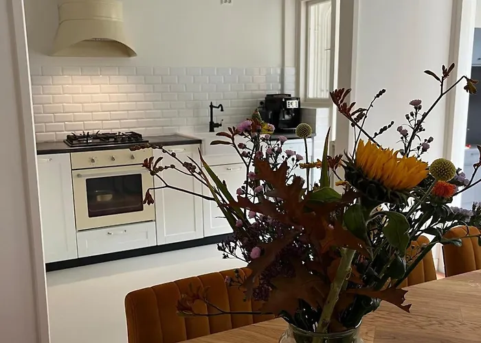 Characteristic Dutch In Historic Center Hébergement de vacances *