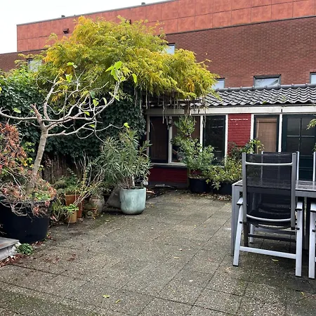 Characteristic Dutch In Historic Center * Gouda